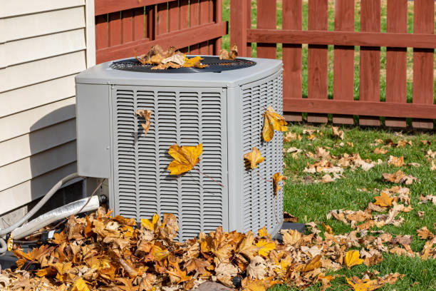 Best HVAC Air Duct Cleaning  in Heidelberg, TX